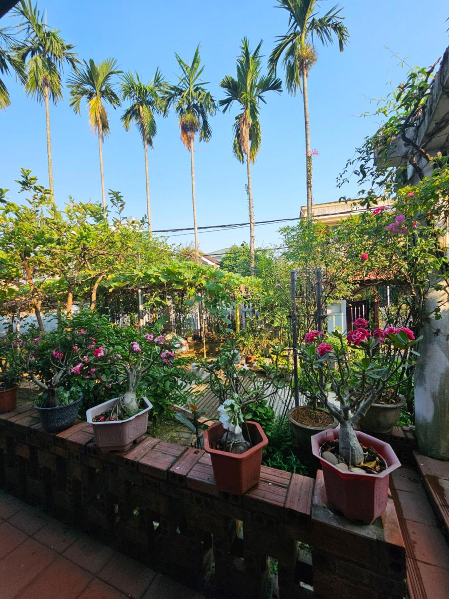 Rose Homestay Hue Thon Kim Long Экстерьер фото